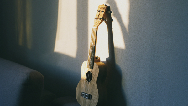 World Music Collection